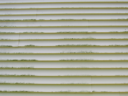 How Greenville Humidity Causes Mold and Algae on Siding Thumbnail