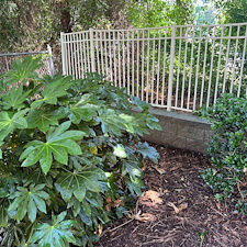 Commercial-Pressure-Washing-Project-in-Greenville-SC 1