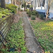 Exterior-House-Washing-Concrete-Cleaning-Project-in-Greenville-SC 19