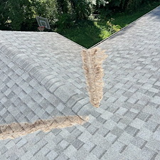 Gutter-Cleaning-Project-in-Hendersonville-NC 6