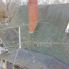 Roof-Washing-in-Landrum-SC-Professional-Moss-Removal-Soft-Wash-Restoration 2